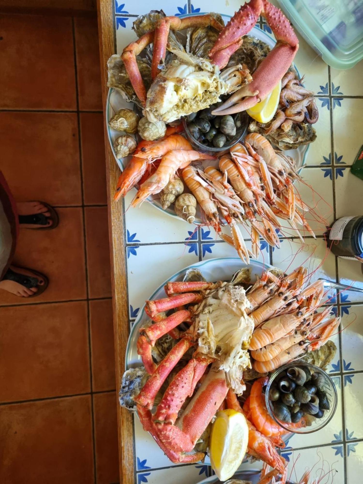 Le Calme Bed and Breakfast Plessé Εξωτερικό φωτογραφία